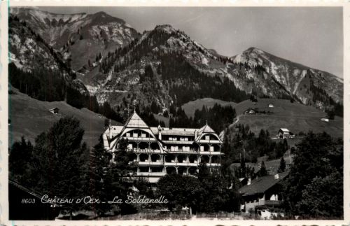 Chateau d Oex - La Soldanelle