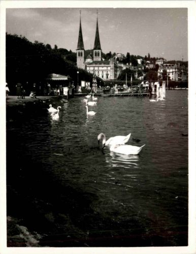 Luzern