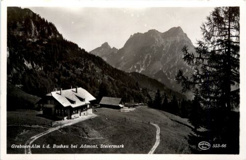 Admont/Steiermark - Admont, Grabner-Alm i.d. Buchau
