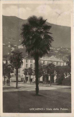 Locarno - Viale delle Palme