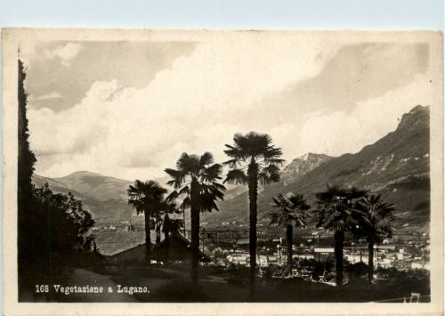 Vegetazione a Lugano