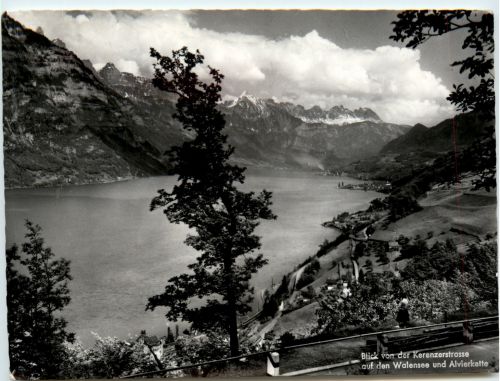 blick von der Kerenzerstrasse auf den Walensee