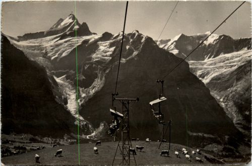 Bergbahn Grindelwald - First