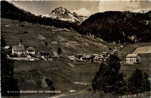 Wiesen