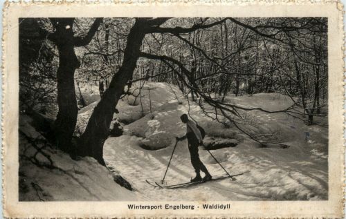Wintersport Engelberg - Ski