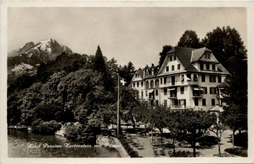 Hotel Pension Hertenstein