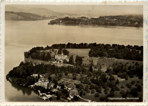Hertenstein - Fliegeraufnahme