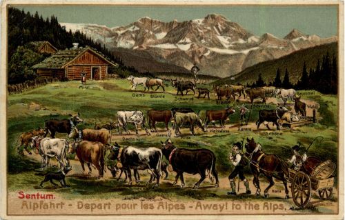 Alpfahrt - Litho
