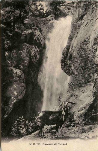 Cascade de Berard - Ziege Goat