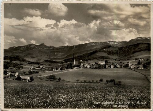 Stein mit Alpstein