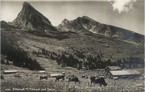 Sillamatt mit Frümsel und Selun