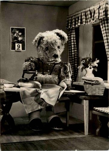 Teddy Bär