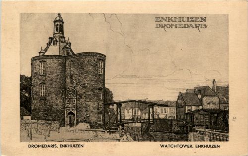 Enkhuizen - Dromedaris
