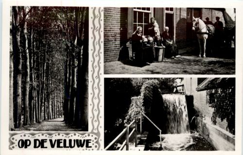 Op de Veluwe