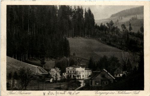 Bad Reinerz