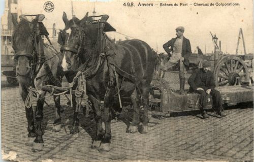 Anvers - Chevaux de Corporations