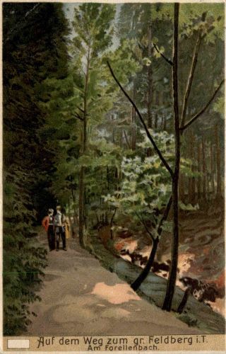 Forellenbach - Grosser feldberg
