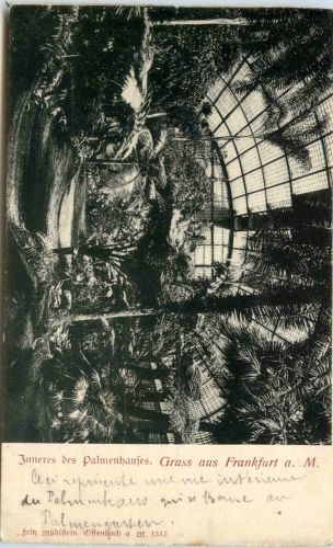 Gruss aus Frankfurt - Palmenhaus