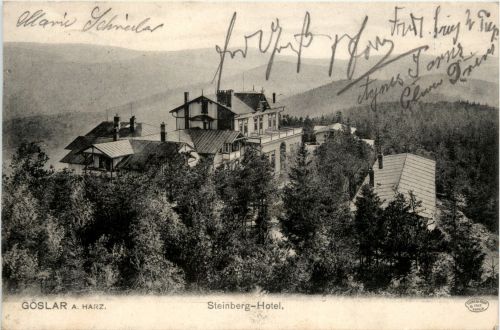 Goslar - Steinberg Hotel