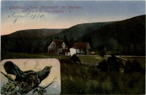 Zellerfeld - Gasthaus Zum Auerhahn