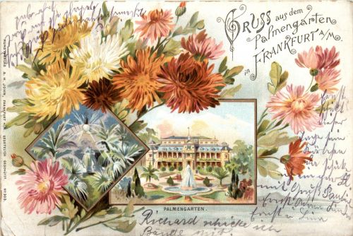 Gruss aus dem Palmengarten Frankfurt - Litho