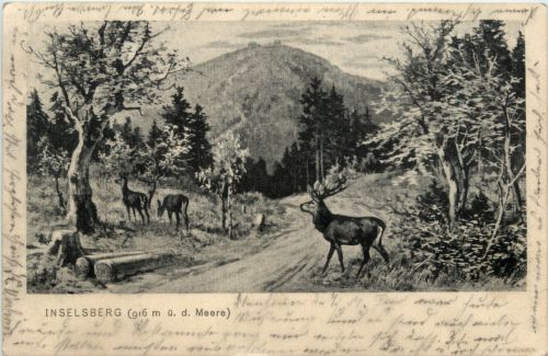 Grosser Inselsberg
