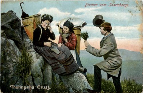 Blumen vom Inselsberg