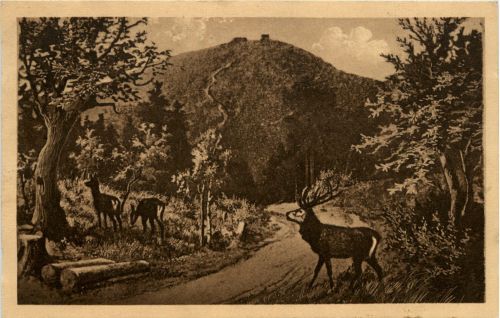 Grosser Inselsberg