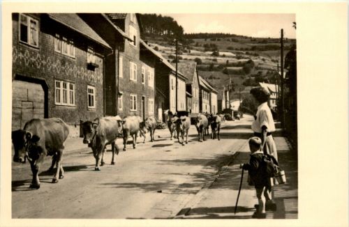 Pappenheim - Fridichrodaer Strasse