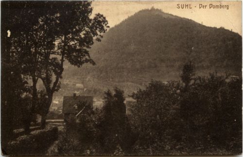 Suhl - Der domberg