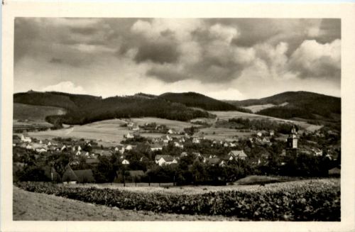 Floh bei Schmalkalden