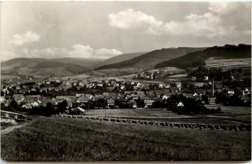Floh bei Schmalkalden