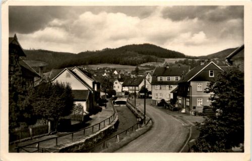 Floh bei Schmalkalden