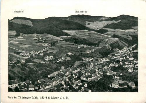 Floh bei Schmalkalden