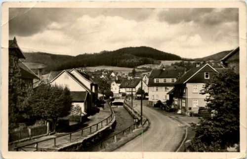 Floh bei Schmalkalden