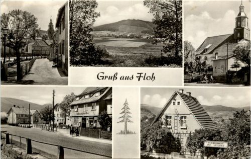 Gruss aus Floh