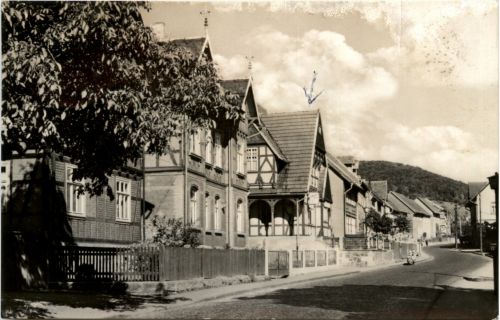 Floh bei Schmalkalden