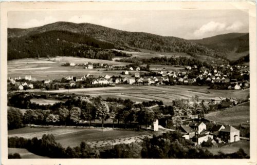 Floh bei Schmalkalden