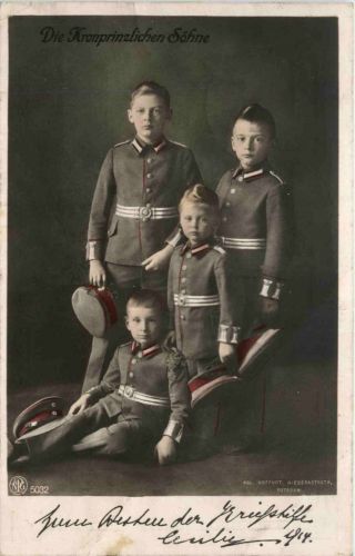 Unsere Kronprinzlichen Söhne