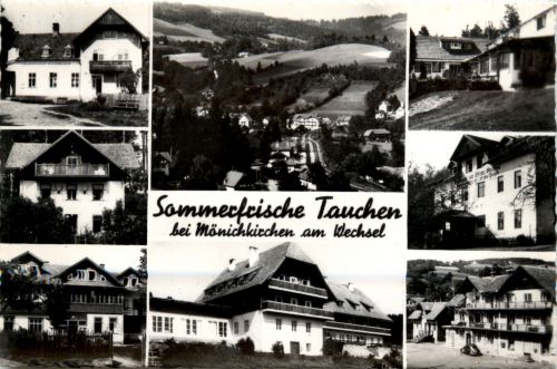 Sonstige Niederösterreich - Sommerfrische Tauchen bei Mönichkirchen am Wechsel, div.Bilder