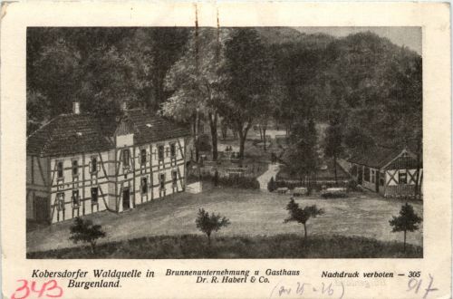 Kobersdorfer Waldquelle, Brunnenunternehmung und Gasthaus Dr. R. Haberl & Co.