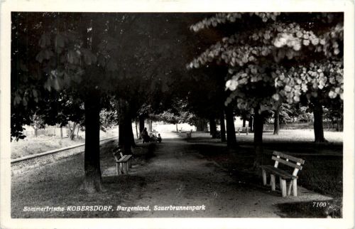 Sonstige/Burgenland - Sommerfrische Kobersdorf, Sauerbrunnenpark