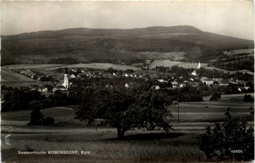 Sonstige/Burgenland - Sommerfrische Kobersdorf,