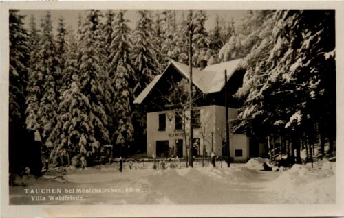 Sonstige Niederösterreich - Tauchen bei Mönichkirchen, Villa Waldfriede