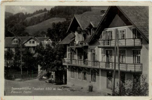 Sonstige/Niederösterreich - Tauchen bri Mönichkirchen, Pension Noller