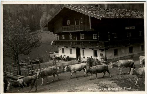 Sonstige Tirol - Gasthaus Ursprung in Tirol