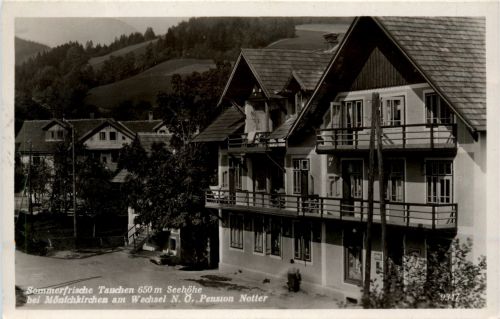Sommerfrische Tauchen bei Mönichkirchen am Wechsel, Pension Notter