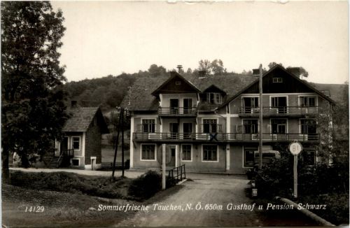 Sommerfrische Tauchen bei Mönichkirchen , Gasthof u.Pension Schwarz