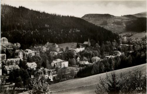 Bad Reinerz