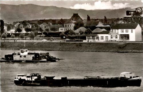Gernsheim am rhein